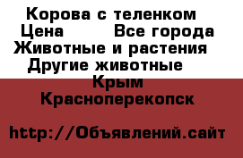 Корова с теленком › Цена ­ 69 - Все города Животные и растения » Другие животные   . Крым,Красноперекопск